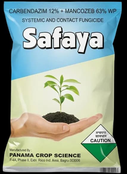 SAFAYA