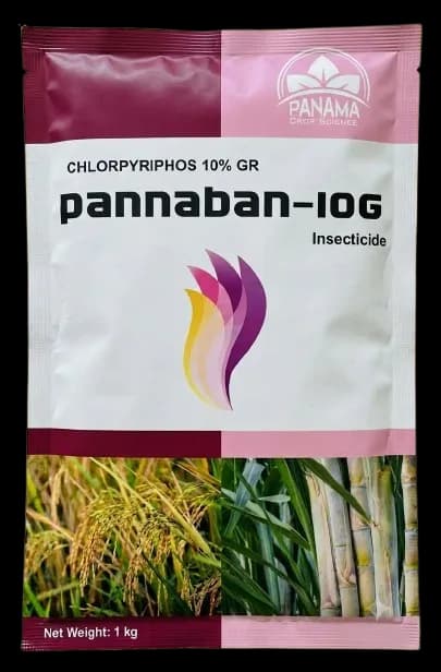 पन्नाबान-10G